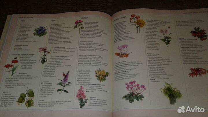 Книга Ридерз Дайджест. Для вашего сада