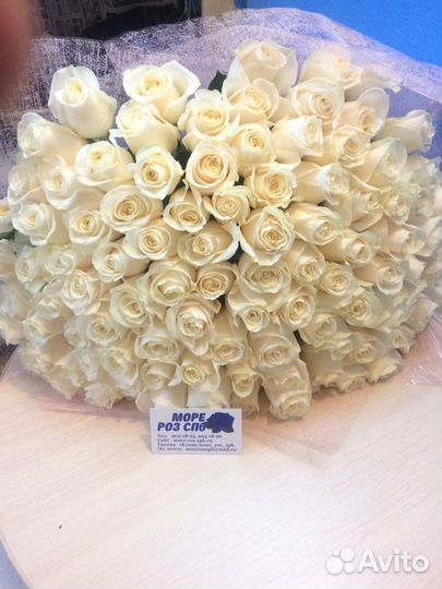 Розы цветы белые 97 шт в пленке