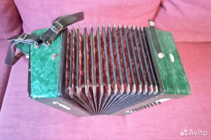 Гармонь чайка