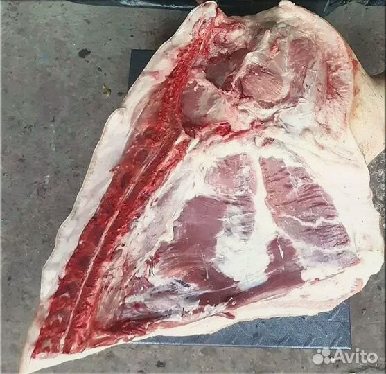 Мясо домашнее Свинина