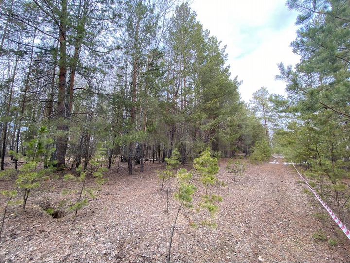 Участок 17,6 сот. (СНТ, ДНП)