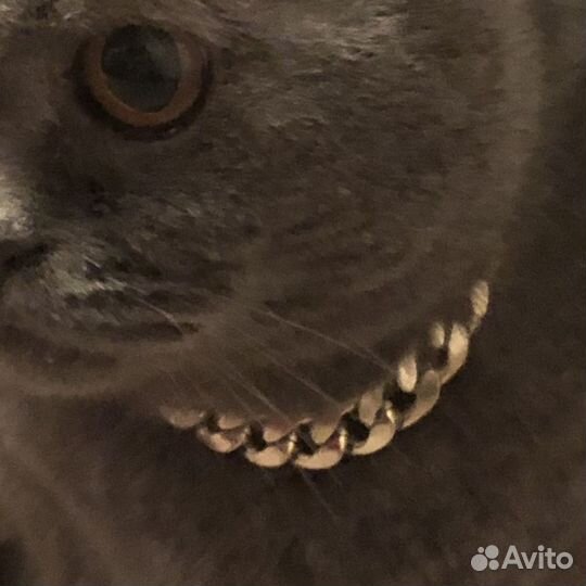 Цепь для котика