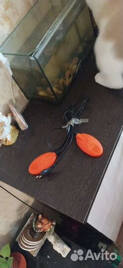 Сушилка для обуви фотоаппарат