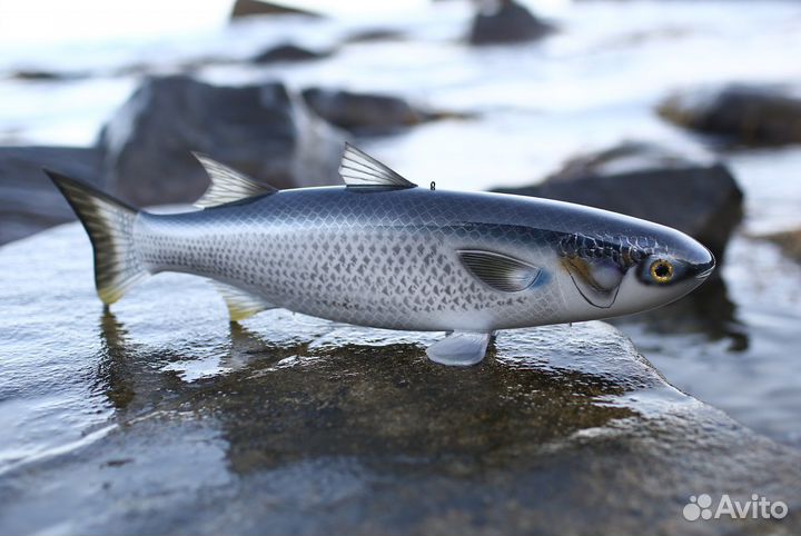 Приманка на Кефаль(Маруся,Замануха,Дурка)