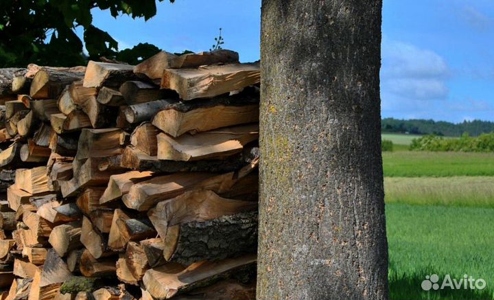 Дрова ольха осина