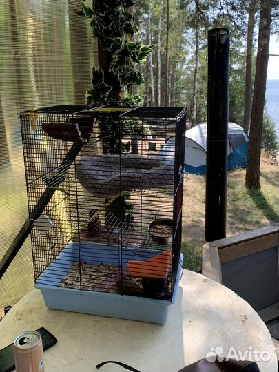Клетка для грызунов
