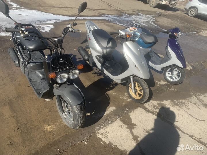 Honda Zoomer Скутеры(Без пробега по РФ)
