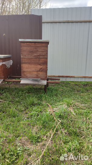 Улей для пчел