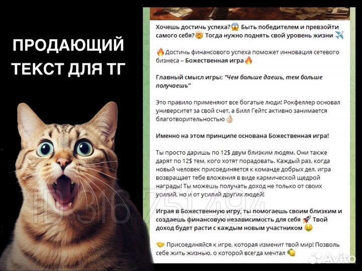 SEO-копирайтер, текст для любых задач