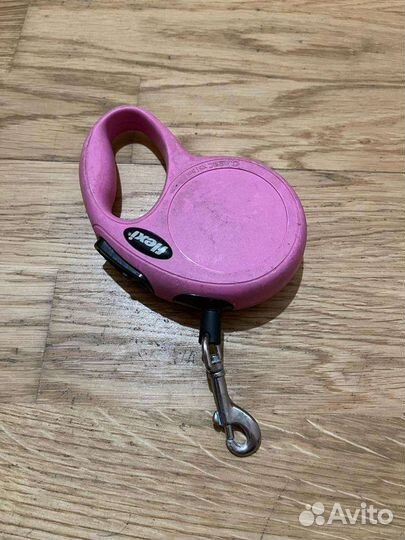 Одежда для собак