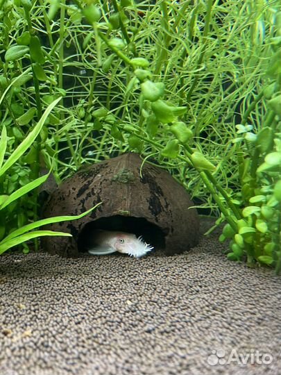 Аквариум с тумбой