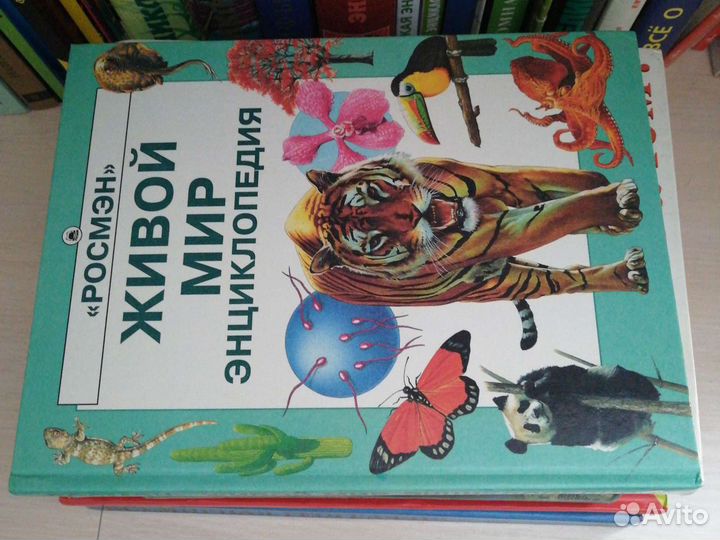 Книги-энциклопедии