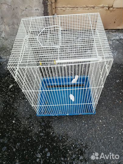 Клетка для попугая