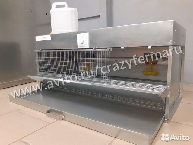 Брудер для цыплят