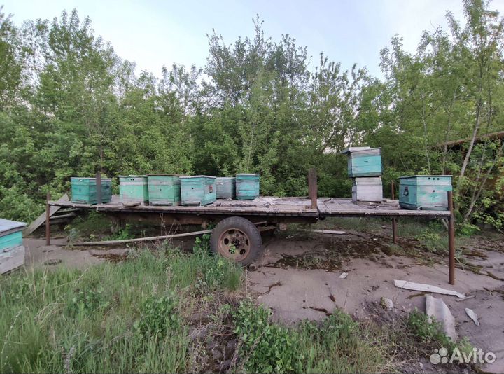 Платформа (прицеп) для перевозки пчёл