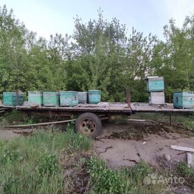 Делаем прицеп для пчел своими руками