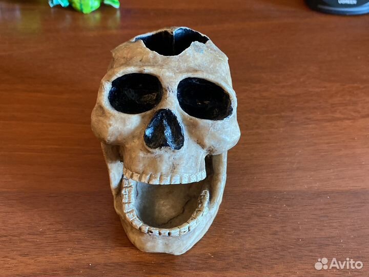 Череп под ручки/пепельница