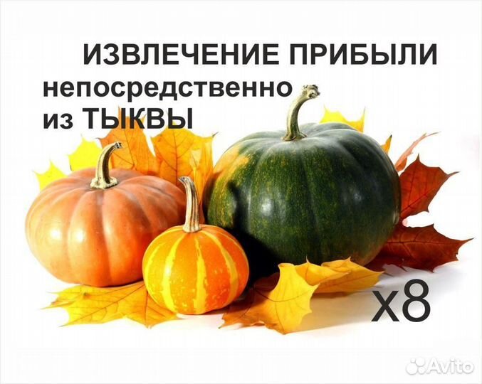 Доля в бизнесе. Переработка тыквы от 50 годовых