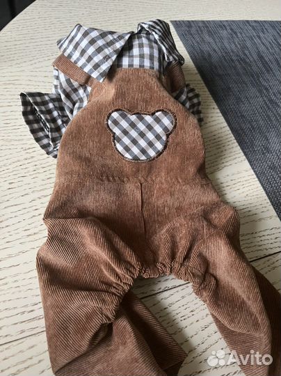 Костюм для животных мелких пород