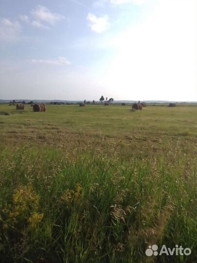 Сено в тюках