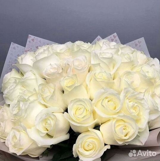 Розы Букеты Цветы Розы 31 101 151 201 Доставка