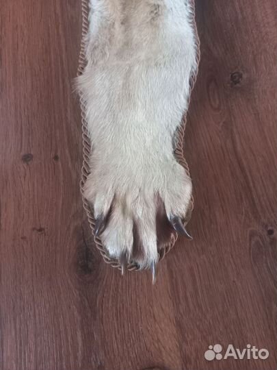 Шкура волка натуральная