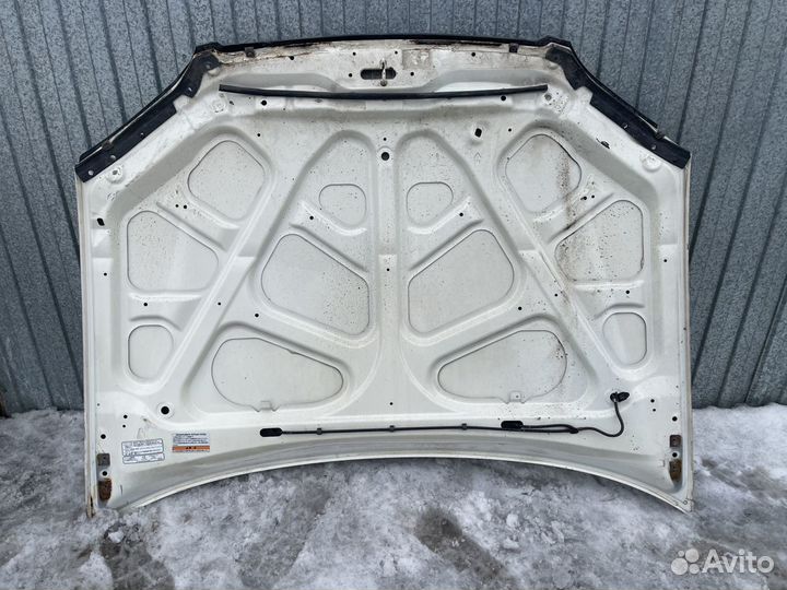 Капот Honda Avancier-Хонда Авансир