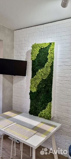 Панели из стабилизированного мха от производителя