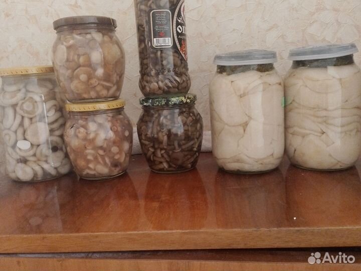 Грибы соленые