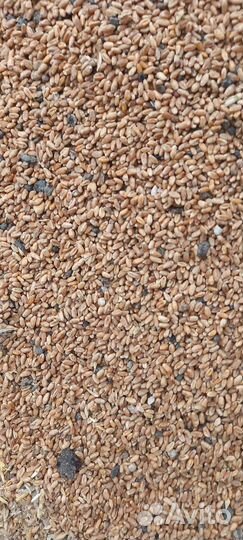 Отруби пшеничные в мешках