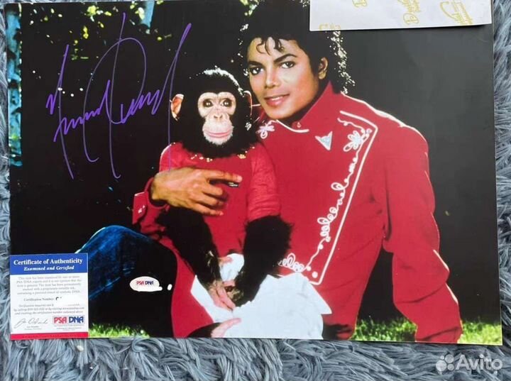 Автографы знаменитостей