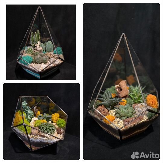 Флорариум подарок