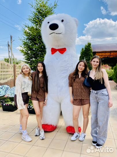 Белый Мишка Поздравление Белый Медведь на праздник