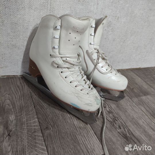 Фигурные коньки edea motivo 255