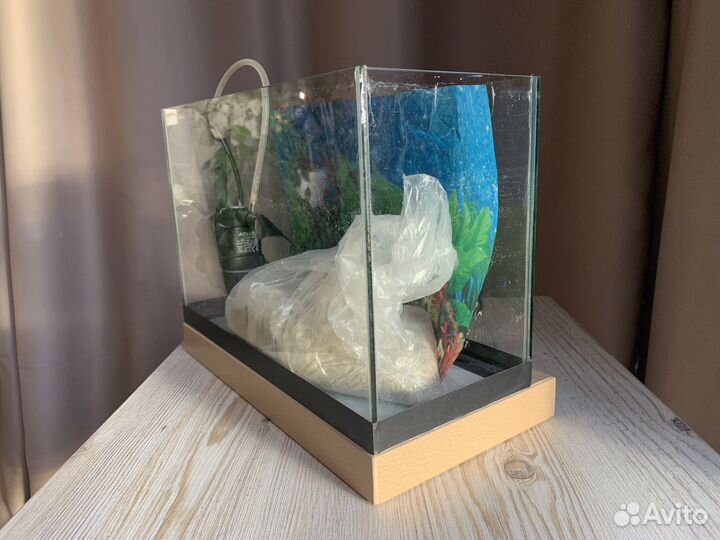 Аквариум (террариум)