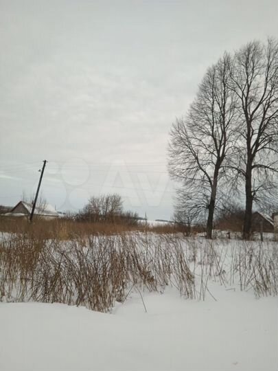 Участок 54 сот. (СНТ, ДНП)