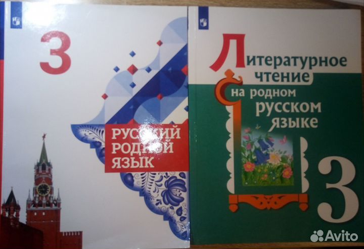 Русский родной язык 3 класс