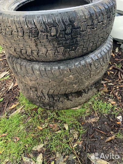 Gislaved Nord Frost II 195/65 R15