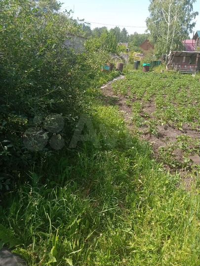 Участок 3,5 сот. (СНТ, ДНП)