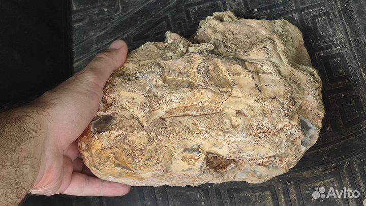 Халцедон - кремень. Крым