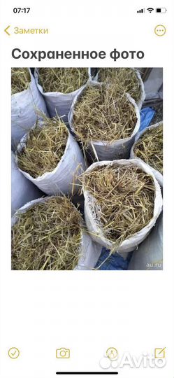 Сено в мешках