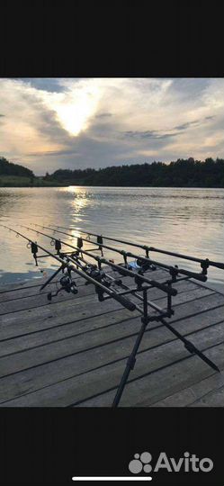 Род под на 4 удилища Fox Gorizont Duo