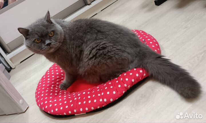 Лежанка для собак и кошек