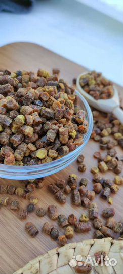 Перга пчелиная