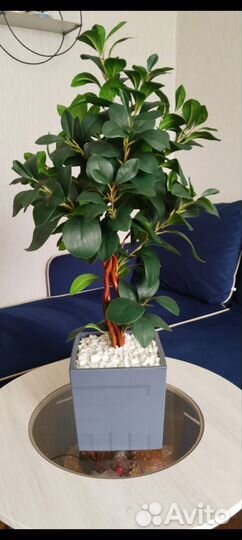 Панно из стабилизированного мха