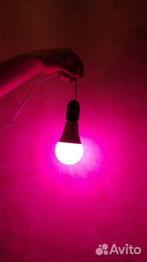 Светодиодная фитолампа Smartbuy