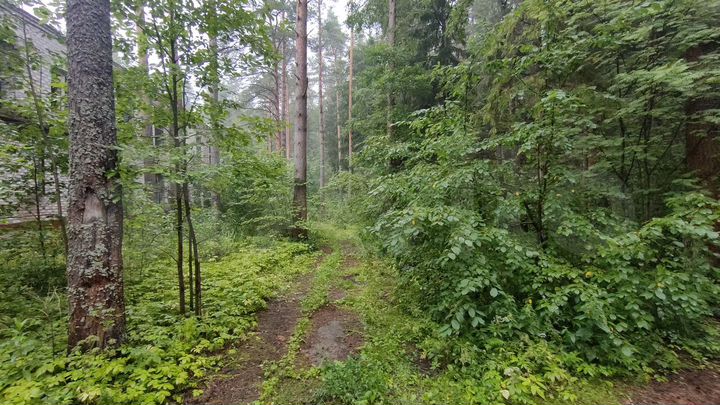 Участок 40 сот. (СНТ, ДНП)