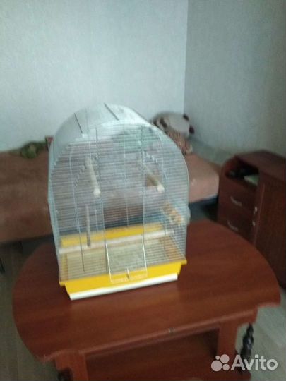 Клетка для попугая