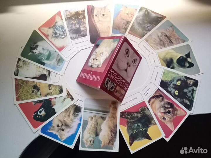 Наборы открыток СССР с животными (кошки, собаки)
