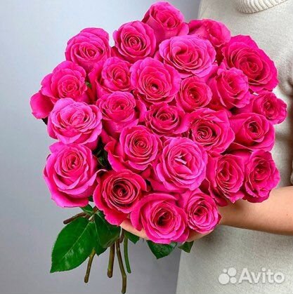 Розы Эквадор Пинк Флойд